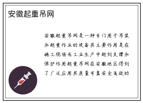 安徽起重吊网